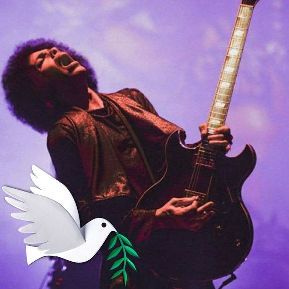 Meet your Posher, Ed - Picture 1 of 1